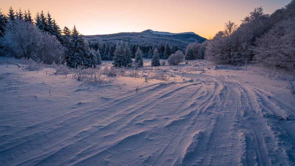 What Are Free-Ride Skis? - Detailed Information